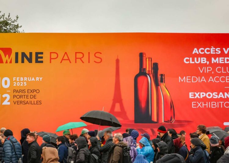 Sicilia del vino. Radici di futuro al Wine Paris l’isola protagonista con 41 cantine