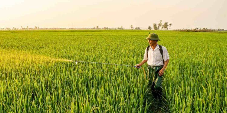 Lotta biologica con i feromoni: cos’è, come funziona e quando utilizzarla