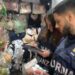 Messina – I militari del Comando Provinciale di Messina, hanno sottoposto a sequestro oltre 22.200 articoli di cui molti legati alla prossima Pasqua, risultati potenzialmente dannosi per la salute