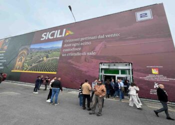 Vinitaly, la Sicilia del bio “è il polmone ecologico d’Italia”