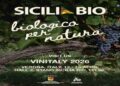 Vinitaly: la Sicilia è il più grande vigneto biologico d’Italia