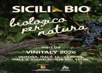Vinitaly: la Sicilia è il più grande vigneto biologico d’Italia