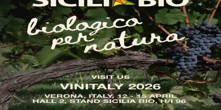Vinitaly: la Sicilia è il più grande vigneto biologico d’Italia
