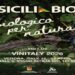 Vinitaly: la Sicilia è il più grande vigneto biologico d’Italia